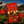 Load image into Gallery viewer, Premium Blend (70:30)- The Daily Masterpiece
