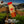 Load image into Gallery viewer, Mocha Cold Coffee 150 ML
