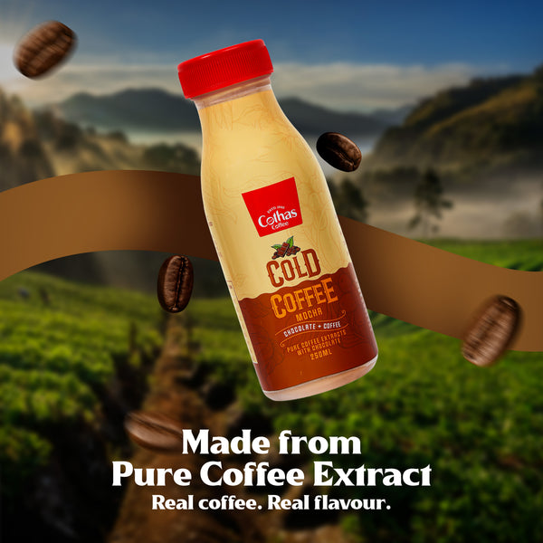 Mocha Cold Coffee 250 ML (Pack of 6)
