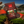 Load image into Gallery viewer, Deccan Brew (53:47)- The Boldest Pour
