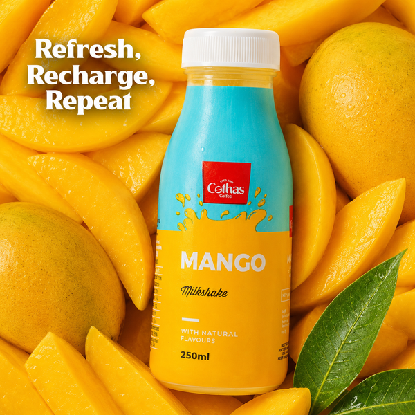 Mango Milkshake 250 ML (Pack of 6)