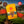 Load image into Gallery viewer, Nova Blend (100% Pure Coffee)- The Purist’s Expression
