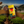 Load image into Gallery viewer, Royal Blend
